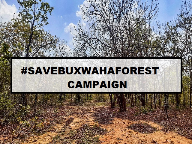 Buxwaha: जंगल बचाने की मुहिम को मिली शुरुआती सफलता, एनजीटी ने स्वीकार की रिट